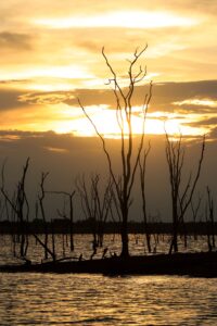 African Travel & Safaris Specialist
