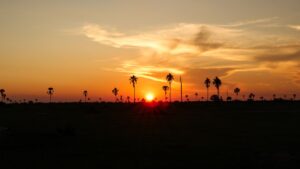 African Travel & Safaris Specialist