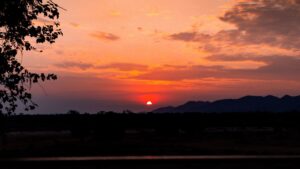 African Travel & Safaris Specialist