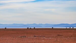African Travel & Safaris Specialist